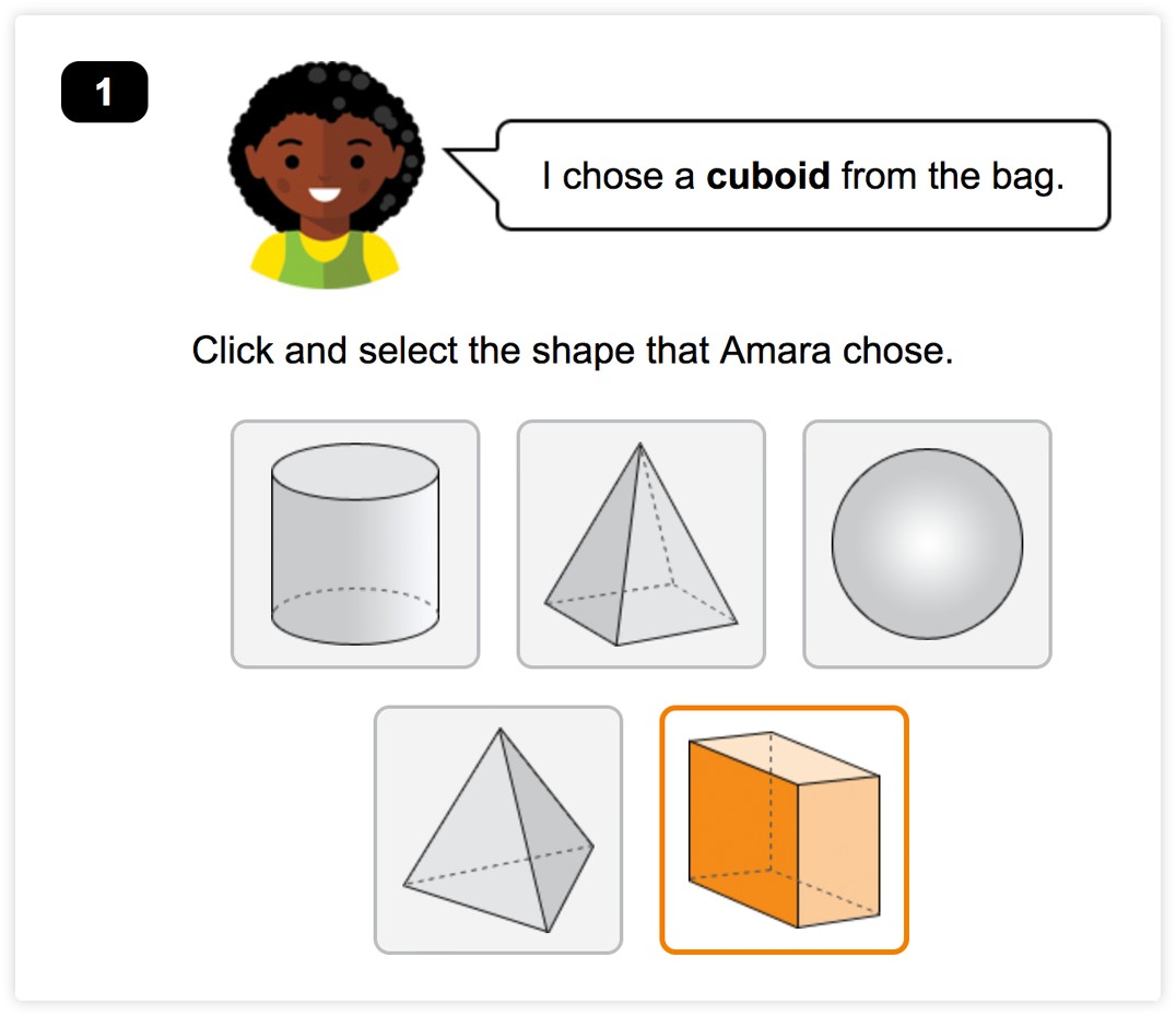 Year 1 Standardised Maths Tests Reasoning